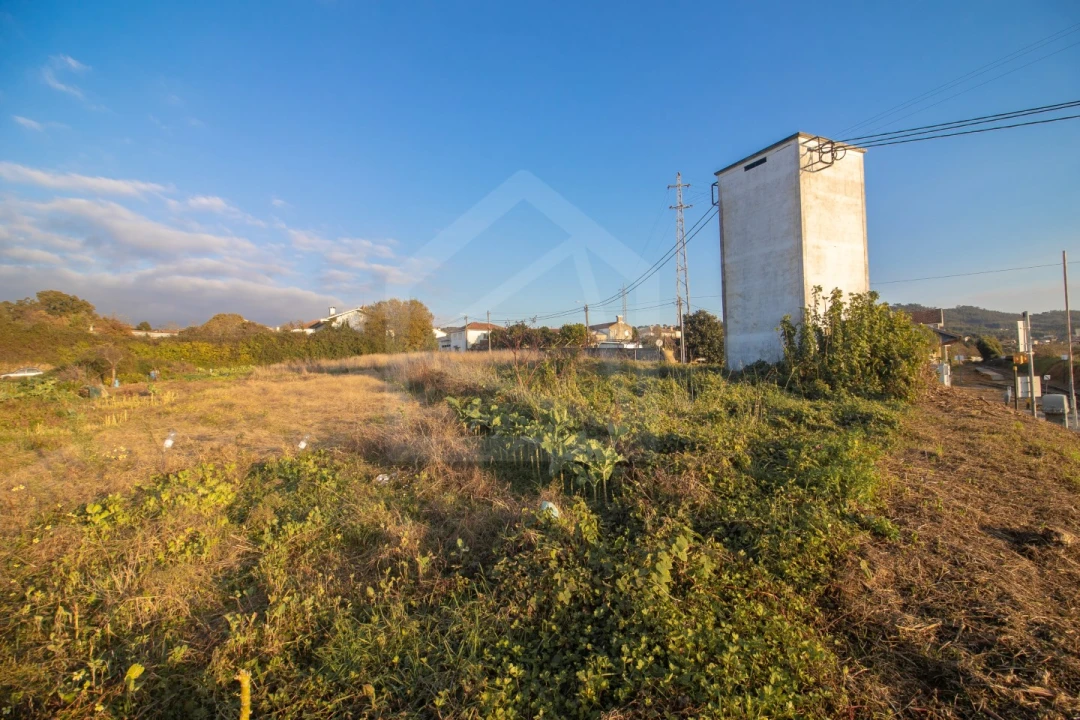 Terreno para Venda em Pinheiro da Bemposta, Travanca e Palmaz Foto 3