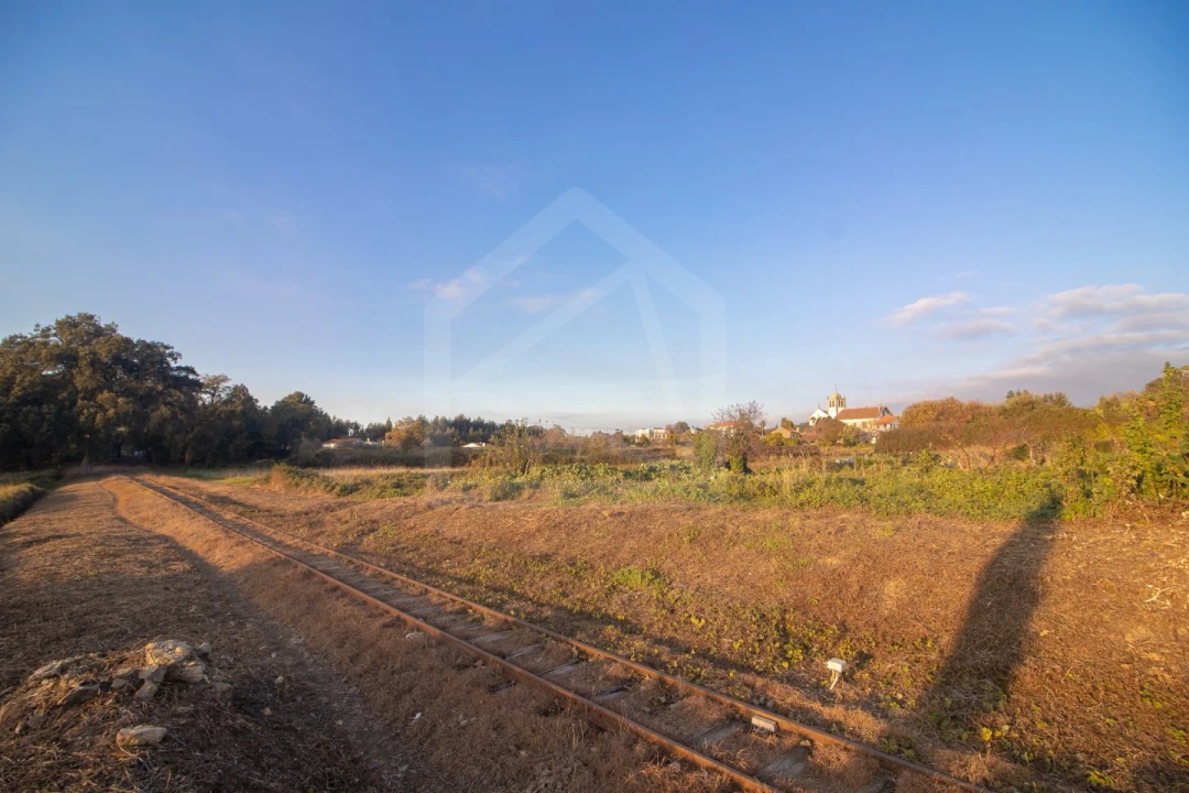 Terreno para Venda em Pinheiro da Bemposta, Travanca e Palmaz Foto 8