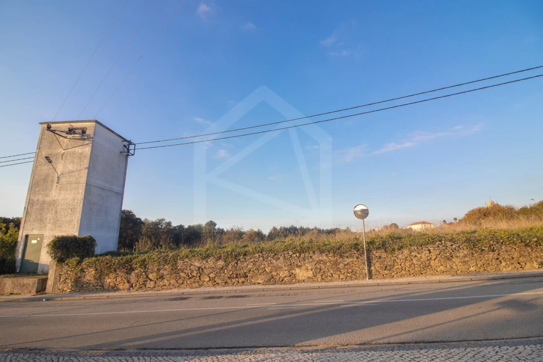 Terreno para Venda em Pinheiro da Bemposta, Travanca e Palmaz Foto 9