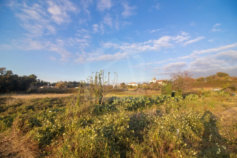 Terreno para Venda em Pinheiro da Bemposta, Travanca e Palmaz