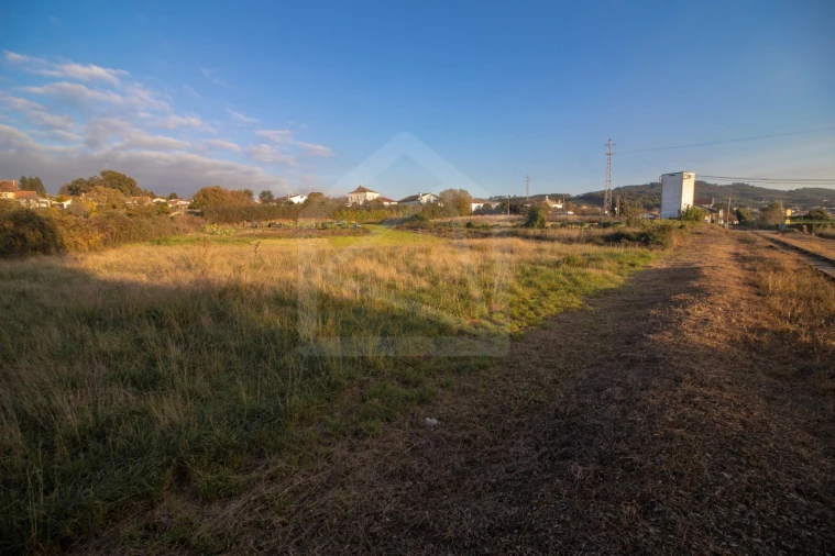 Terreno para Venda em Pinheiro da Bemposta, Travanca e Palmaz Foto 5