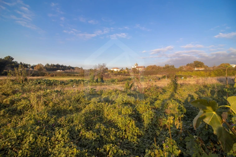 Terreno para Venda em Pinheiro da Bemposta, Travanca e Palmaz Foto 6