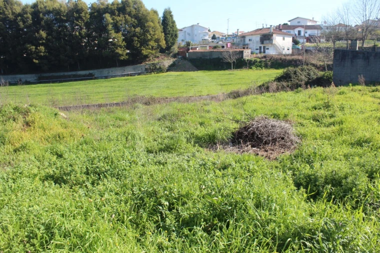 Terreno para Venda em Arrifana Foto 13