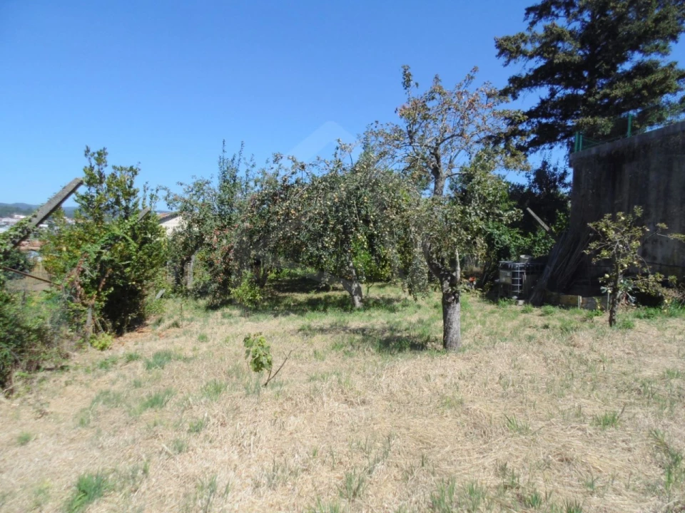 Terreno para Venda em São João da Madeira Foto 4