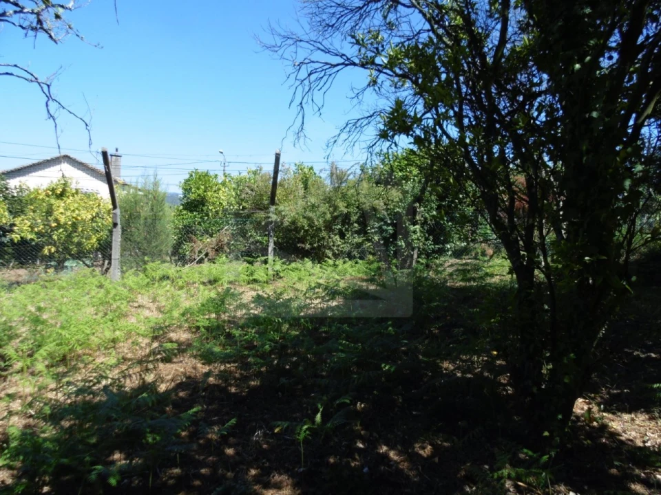 Terreno para Venda em São João da Madeira Foto 9