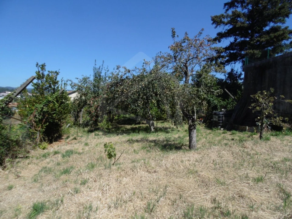 Terreno para Venda em São João da Madeira Foto 12