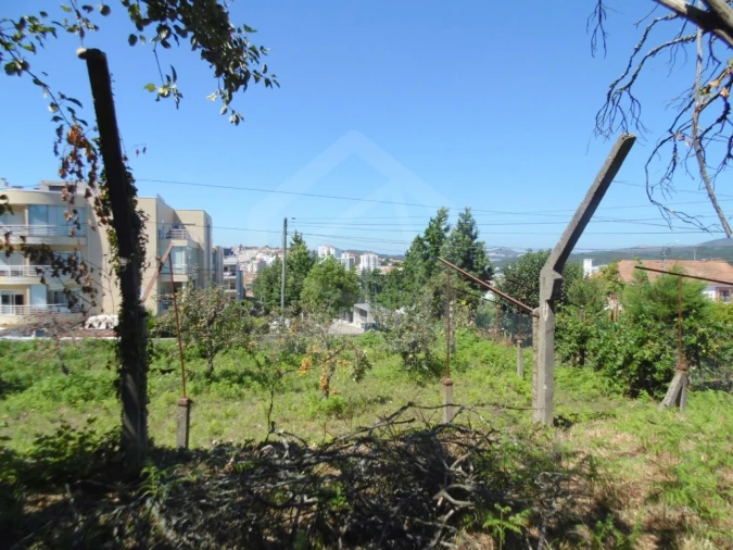 Terreno para Venda em São João da Madeira Foto 3