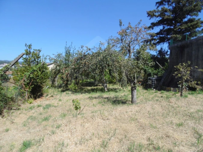Terreno para Venda em São João da Madeira Foto 4