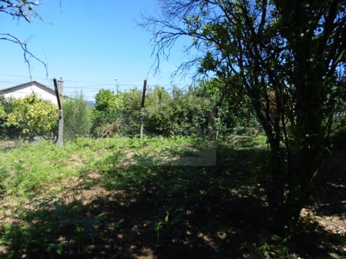Terreno para Venda em São João da Madeira Foto 9