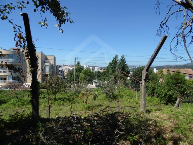 Terreno para Venda em São João da Madeira Foto 11