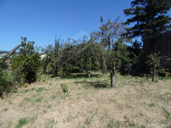 Terreno para Venda em São João da Madeira Foto 12