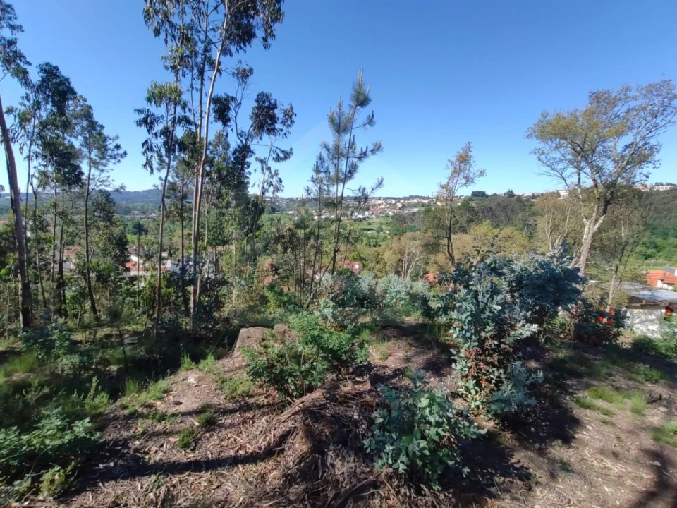 Terreno para Venda em Sanguedo Foto 4