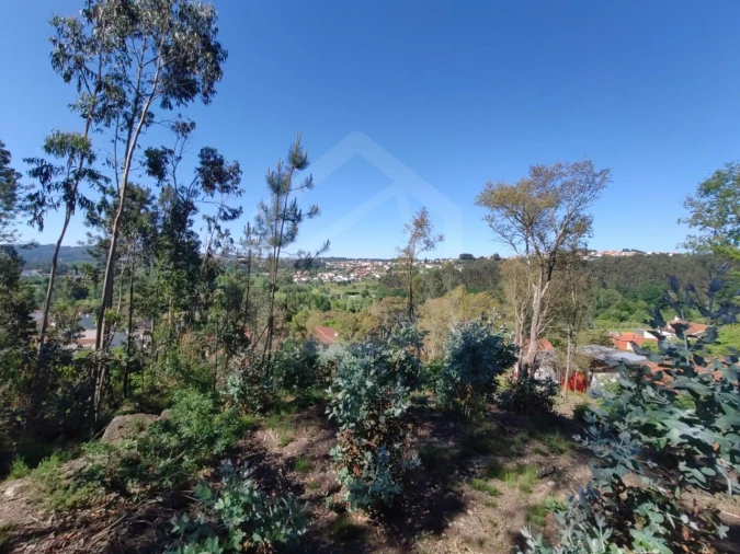 Terreno para Venda em Sanguedo Foto 2