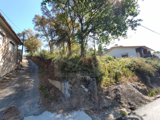 Terreno para Venda em Sanguedo Foto 3