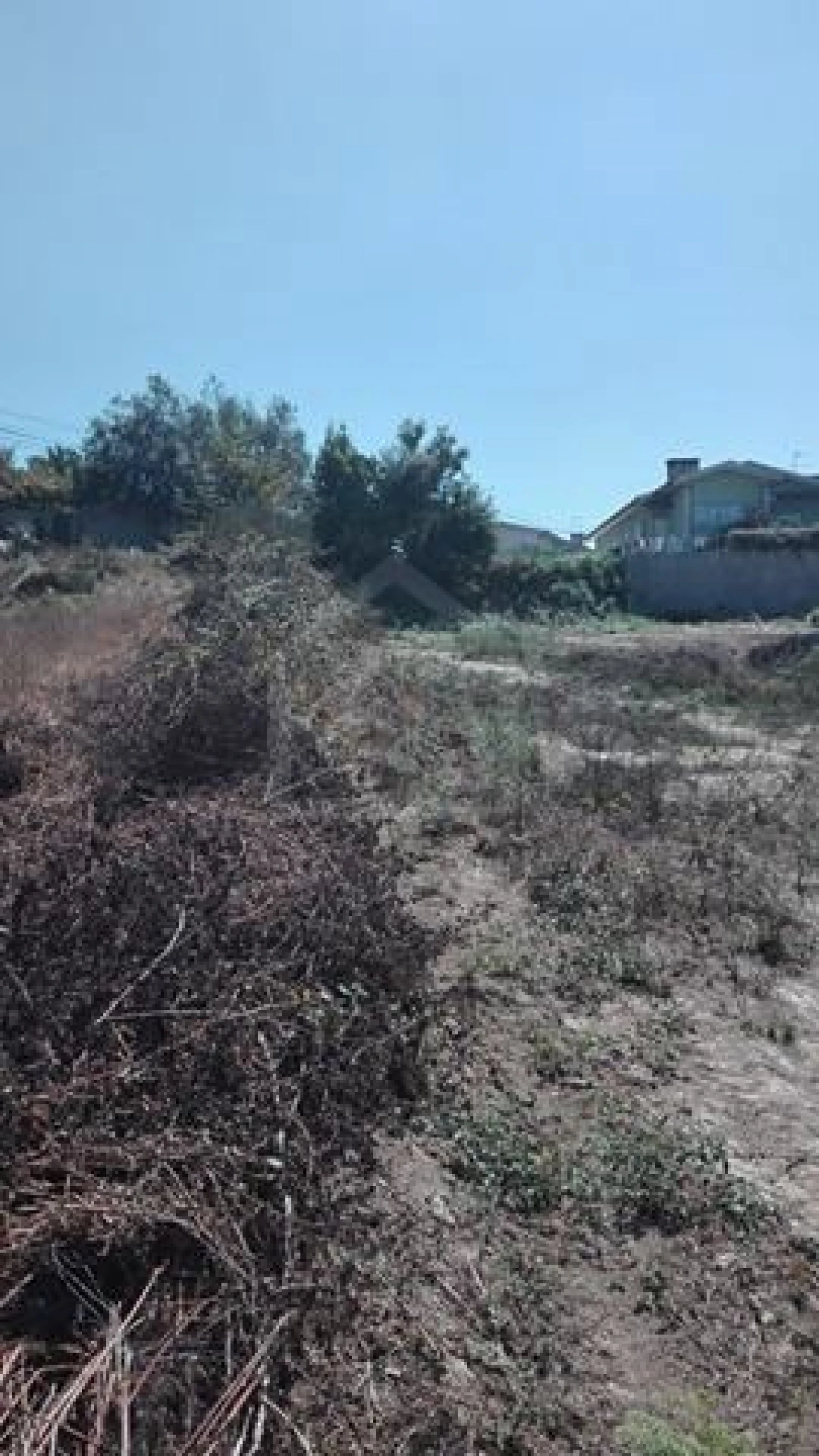 Terreno para Venda em Pinheiro da Bemposta, Travanca e Palmaz Foto 1