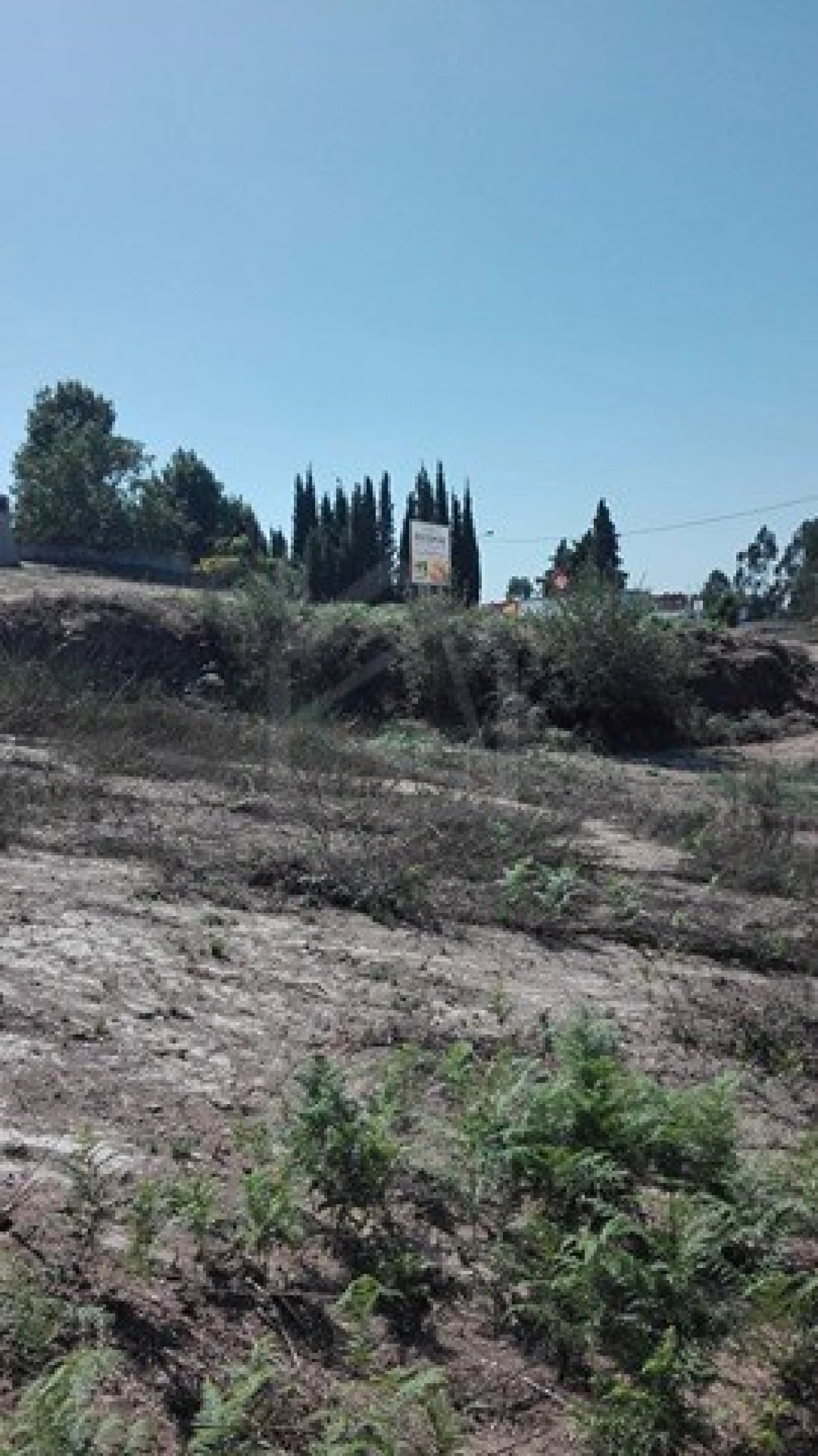 Terreno para Venda em Pinheiro da Bemposta, Travanca e Palmaz Foto 4