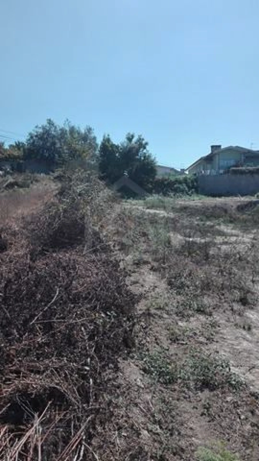 Terreno para Venda em Pinheiro da Bemposta, Travanca e Palmaz