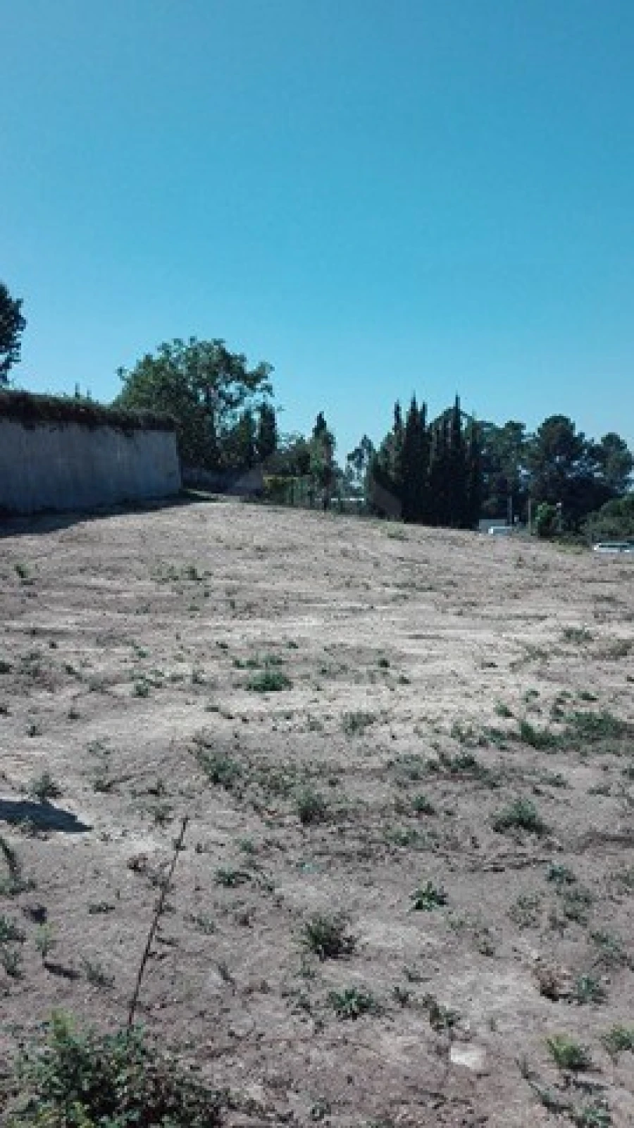 Terreno para Venda em Pinheiro da Bemposta, Travanca e Palmaz Foto 2