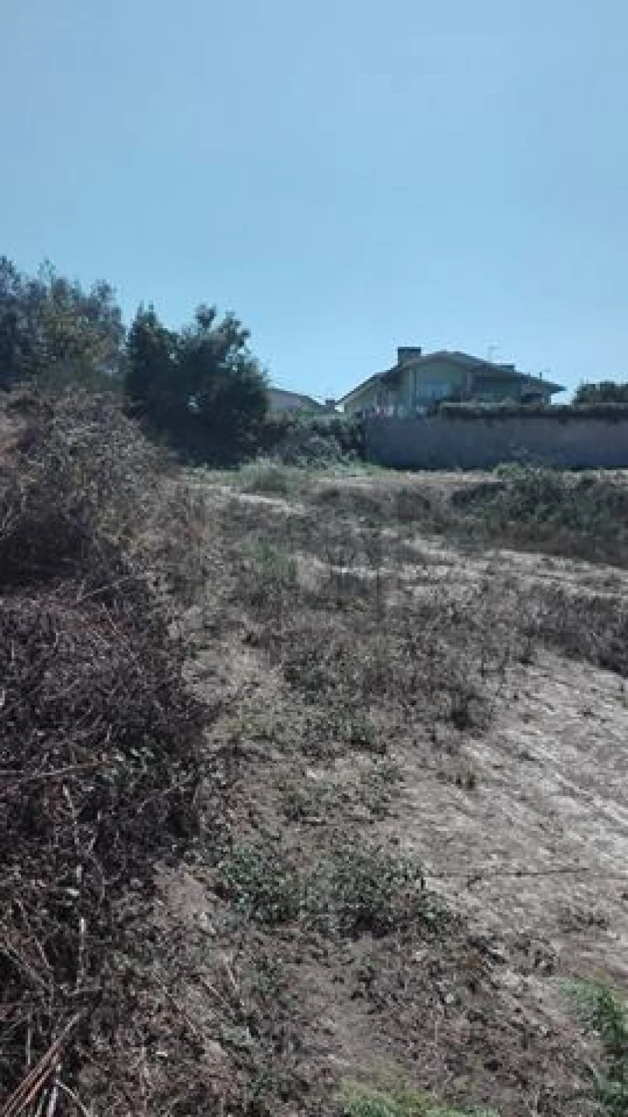 Terreno para Venda em Pinheiro da Bemposta, Travanca e Palmaz Foto 3