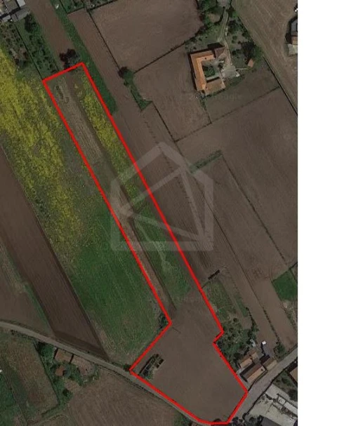 Terreno para Venda em Loureiro