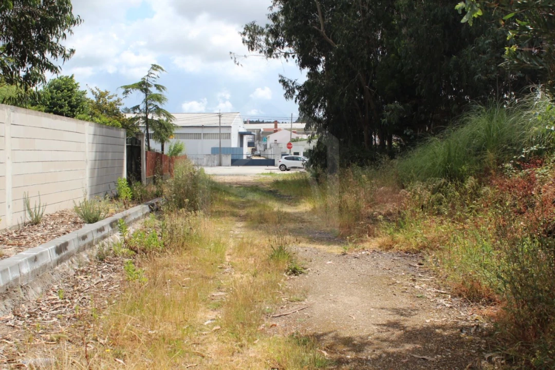 Terreno para Venda em Rio Meão Foto 2