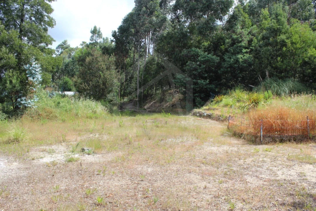 Terreno para Venda em Rio Meão Foto 5