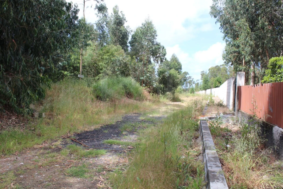 Terreno para Venda em Rio Meão Foto 6
