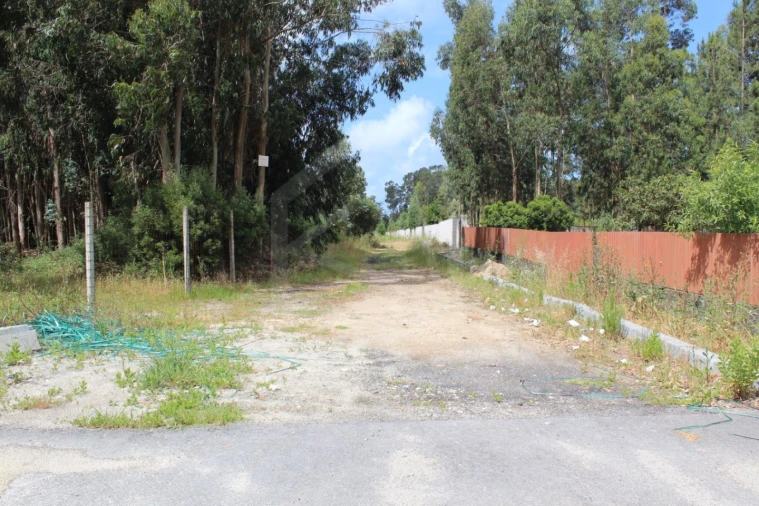 Terreno para Venda em Rio Meão Foto 1