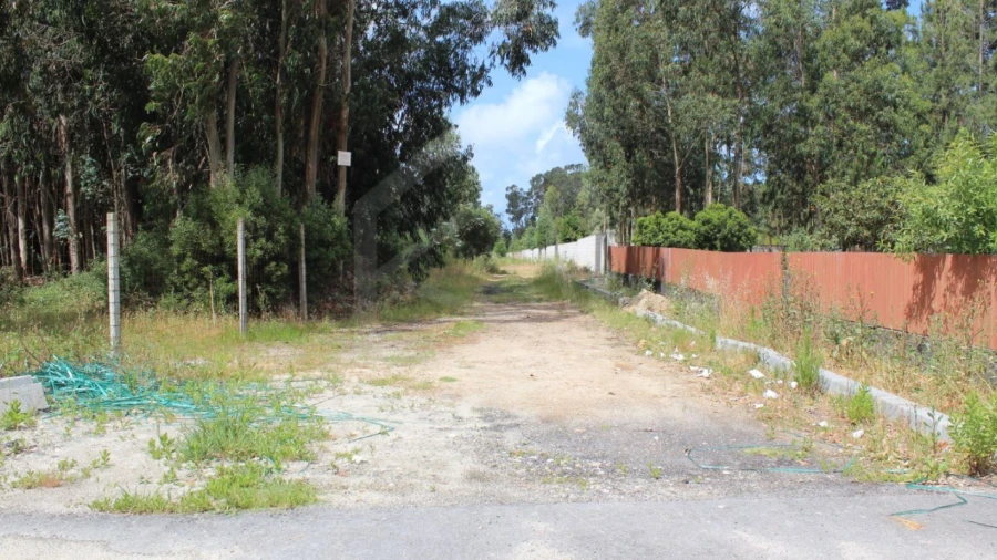 Terreno para Venda em Rio Meão