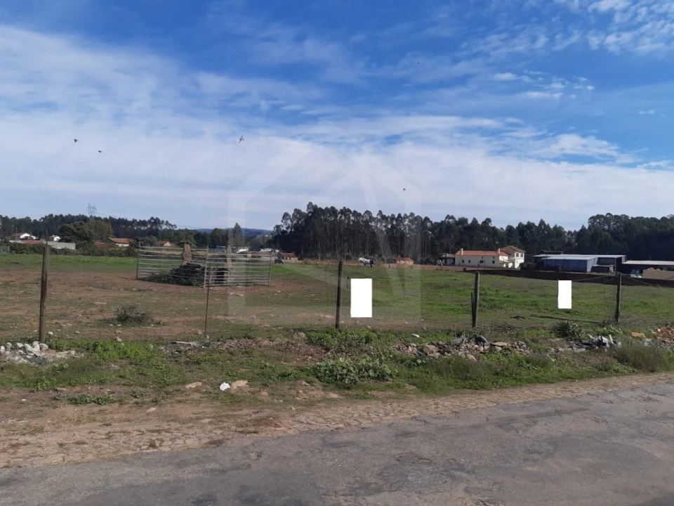 Terreno para Venda em Loureiro Foto 2