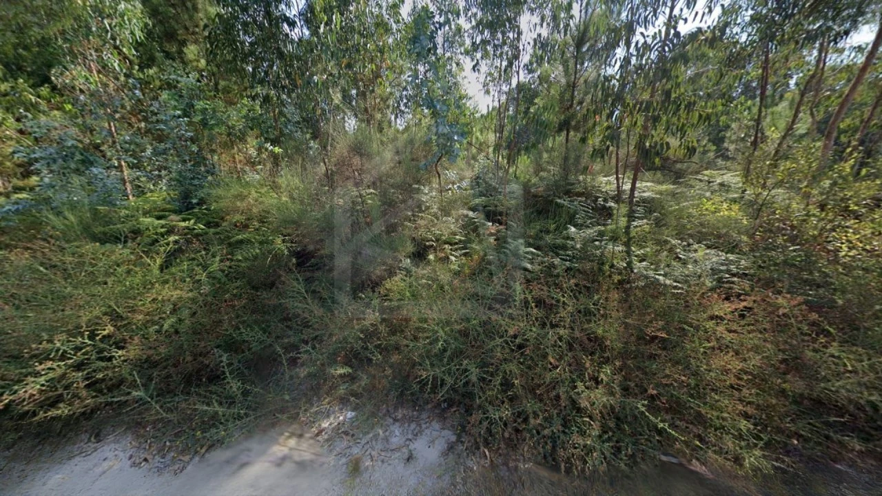 Terreno para Venda em Seroa Foto 4