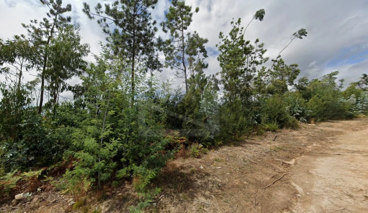 Terreno para Venda em Ovar, São João, Arada e São Vicente de Pereira Jusã Foto 5