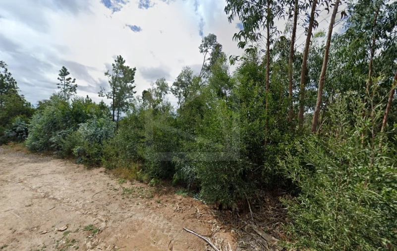Terreno para Venda em Ovar, São João, Arada e São Vicente de Pereira Jusã Foto 4