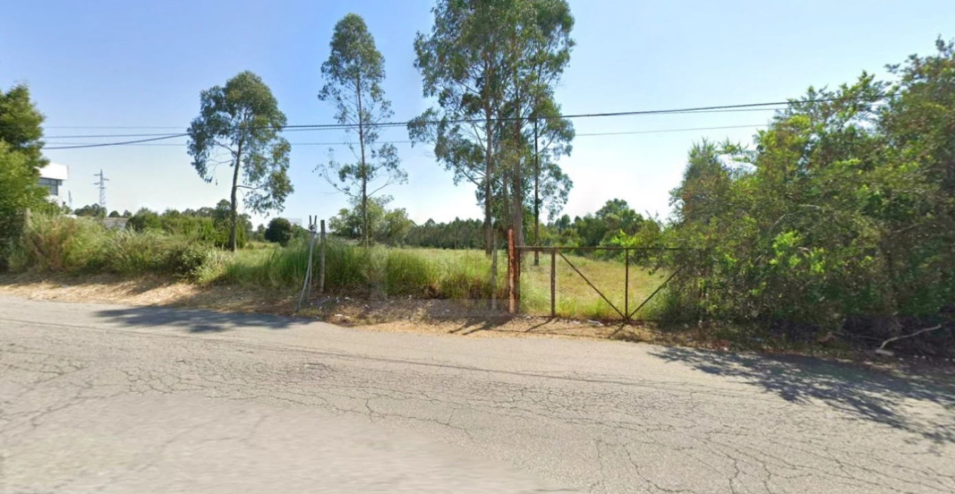 Terreno para Venda em Santa Maria de Lamas Foto 3