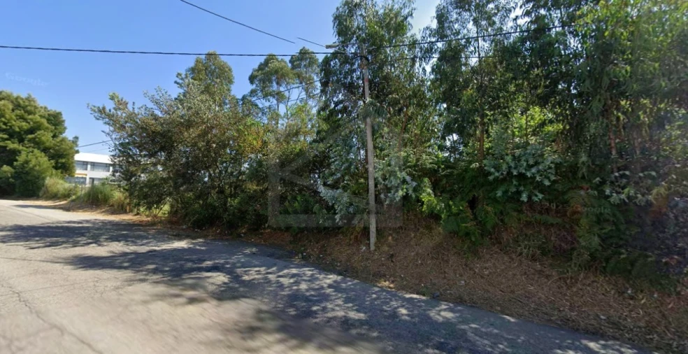 Terreno para Venda em Santa Maria de Lamas Foto 2