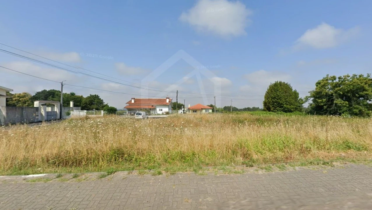 Terreno para Venda em Pinheiro da Bemposta, Travanca e Palmaz Foto 3