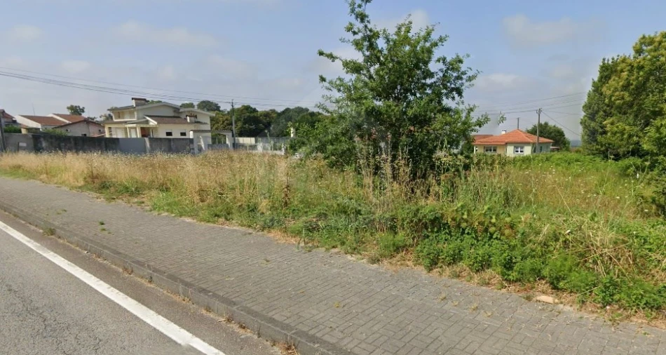 Terreno para Venda em Pinheiro da Bemposta, Travanca e Palmaz Foto 5