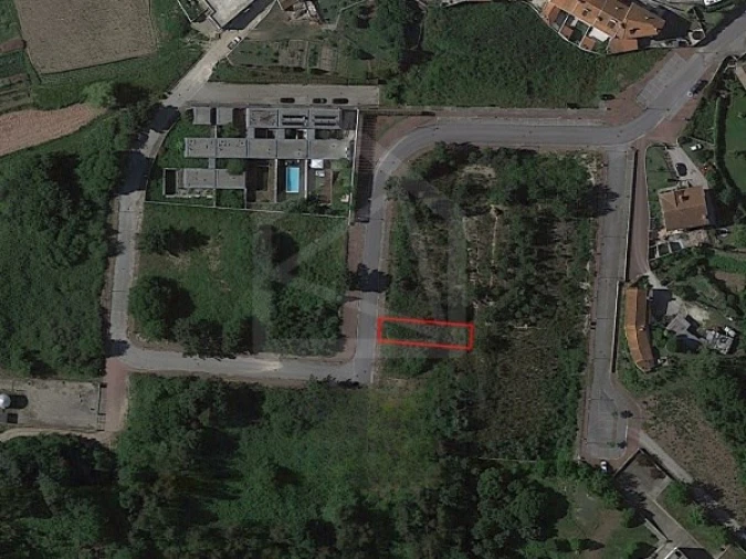 Terreno para Venda em Pinheiro da Bemposta, Travanca e Palmaz Foto 3