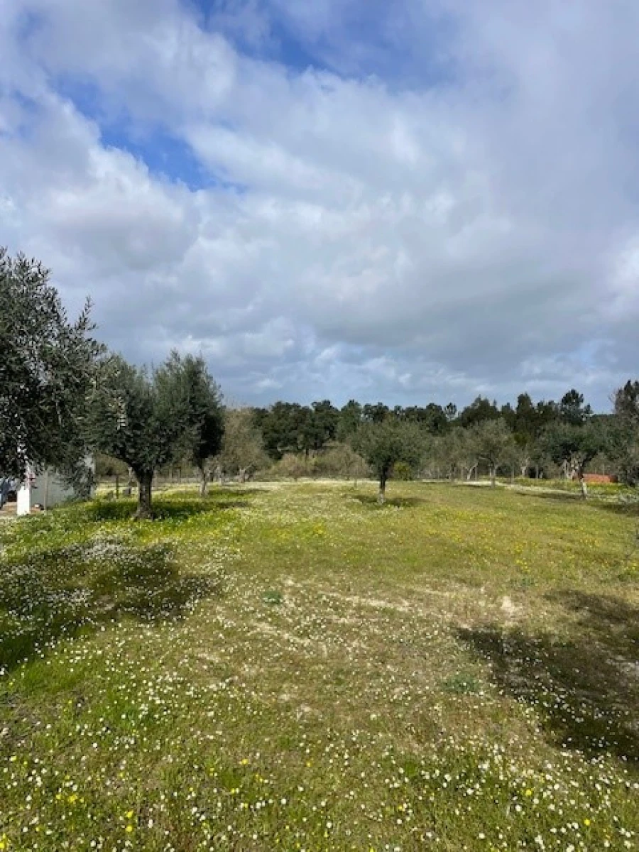 Terreno para Venda em Foros de Arrão Foto 2