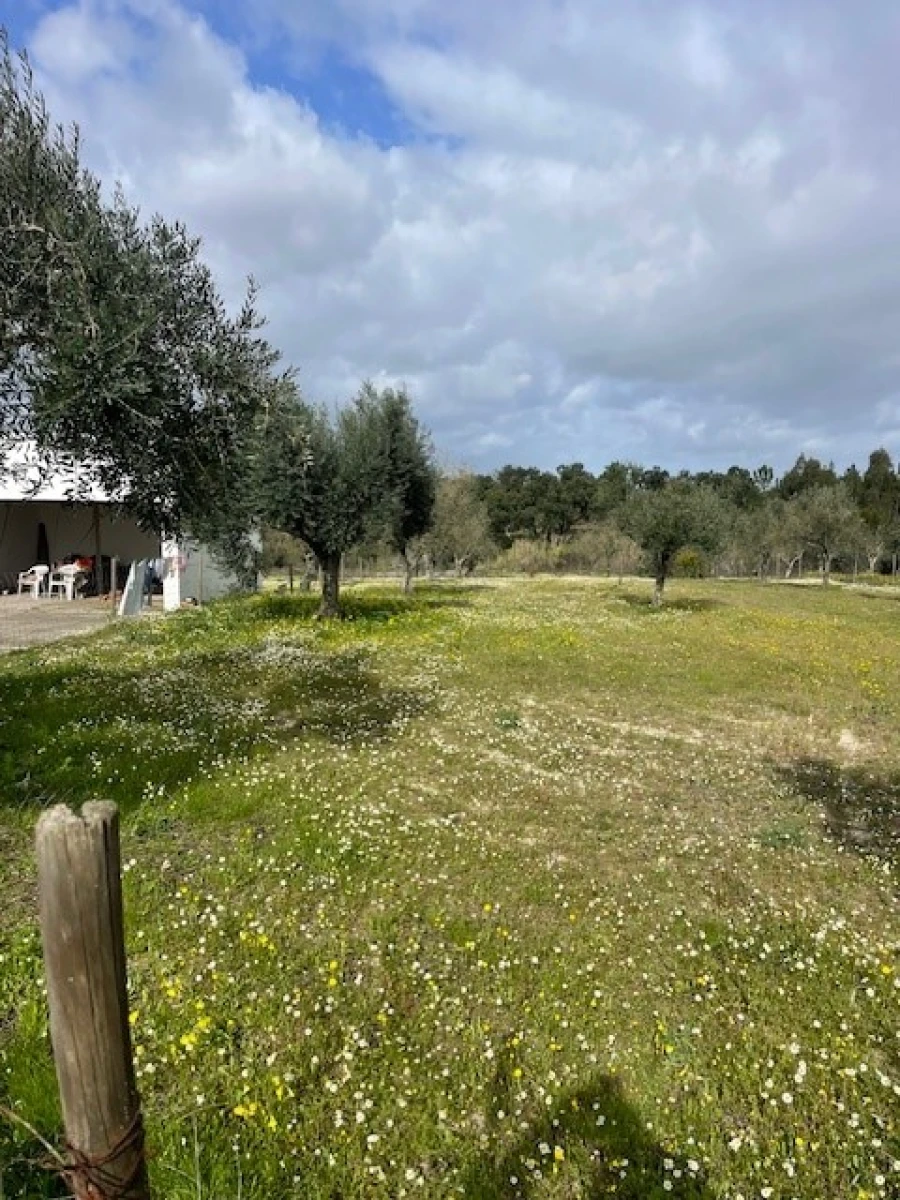 Terreno para Venda em Foros de Arrão Foto 4