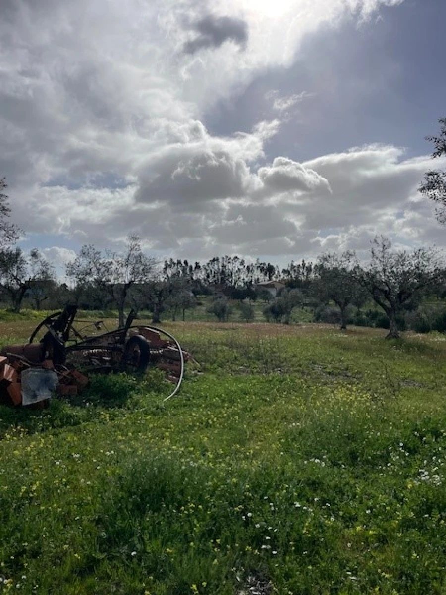 Terreno para Venda em Foros de Arrão Foto 7