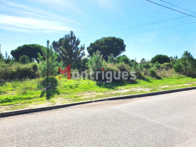 Terreno para Venda em Sado Foto 2