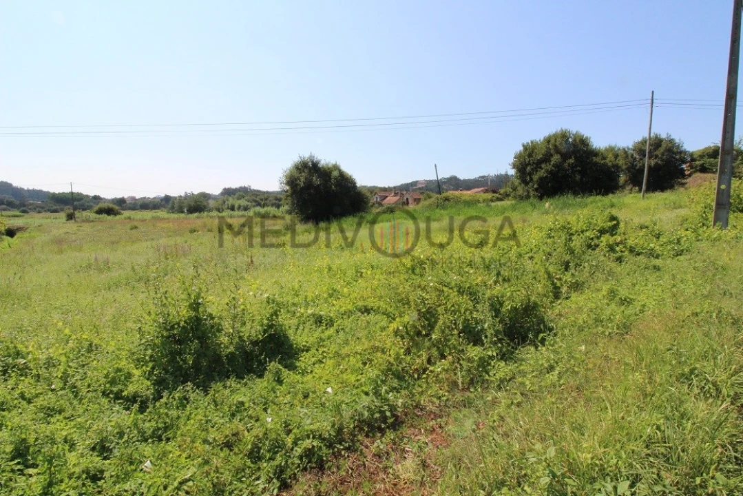 Terreno para Venda em Macinhata do Vouga Foto 2