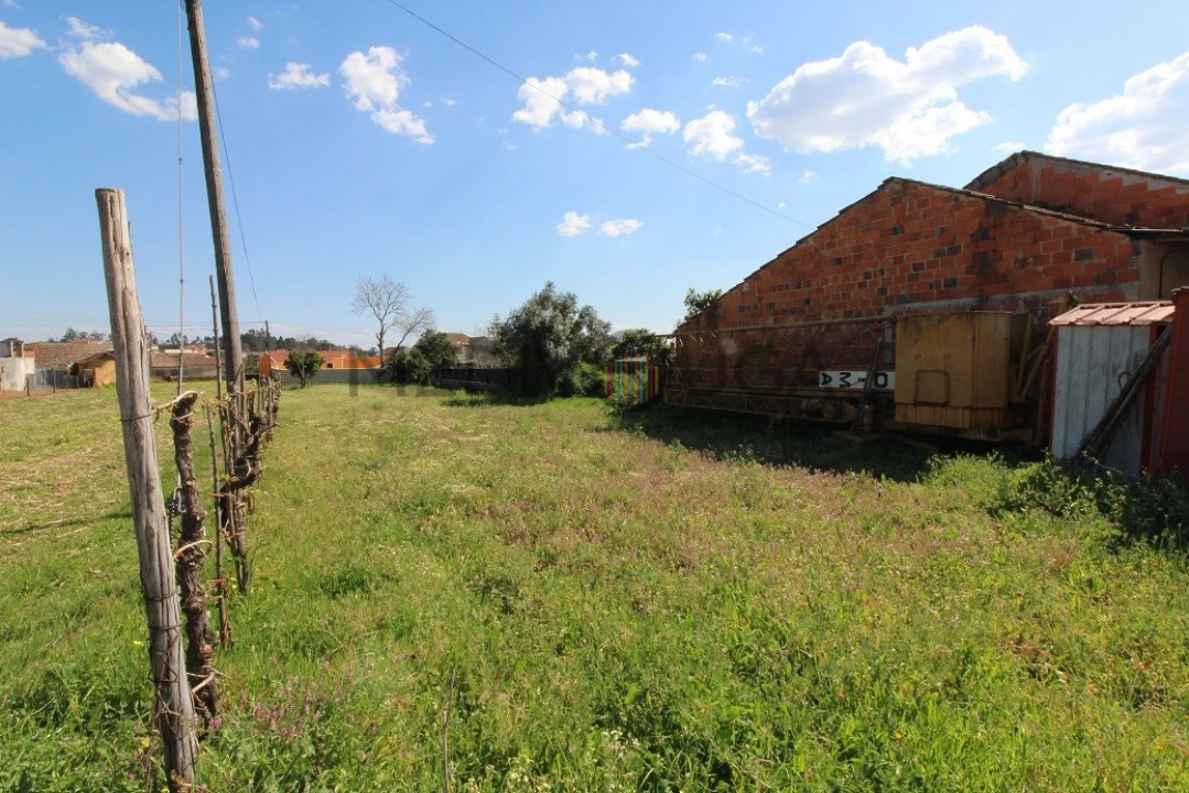 Terreno para Venda em Travassô e Óis da Ribeira Foto 3