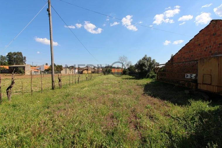 Terreno para Venda em Travassô e Óis da Ribeira Foto 1