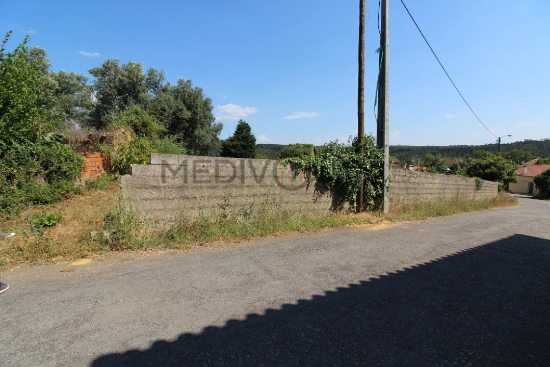 Terreno para Venda em Macinhata do Vouga Foto 2