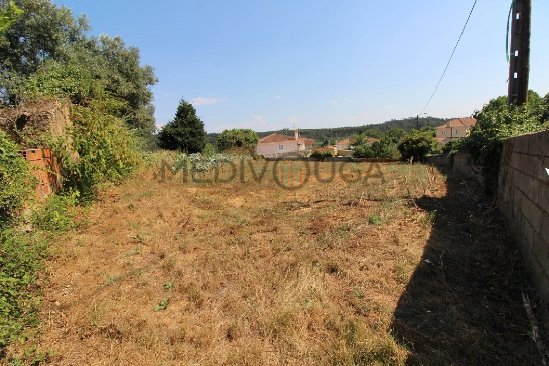 Terreno para Venda em Macinhata do Vouga Foto 3