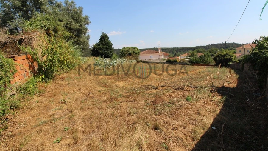 Terreno para Venda em Macinhata do Vouga
