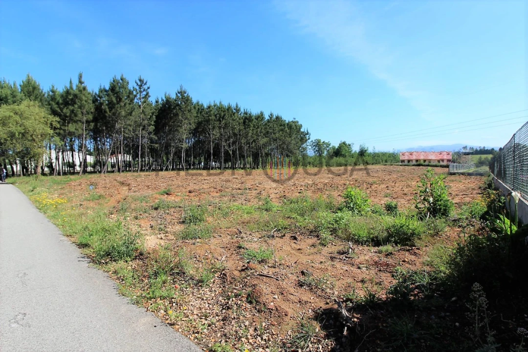 Terreno para Venda em Recardães e Espinhel Foto 2