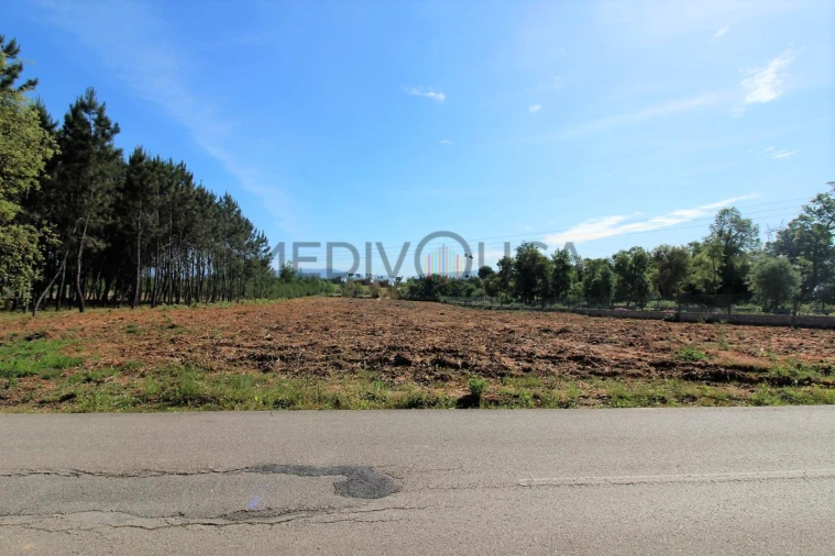 Terreno para Venda em Recardães e Espinhel